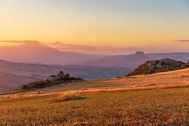 Immagine del produttore